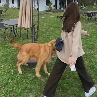让爱做主