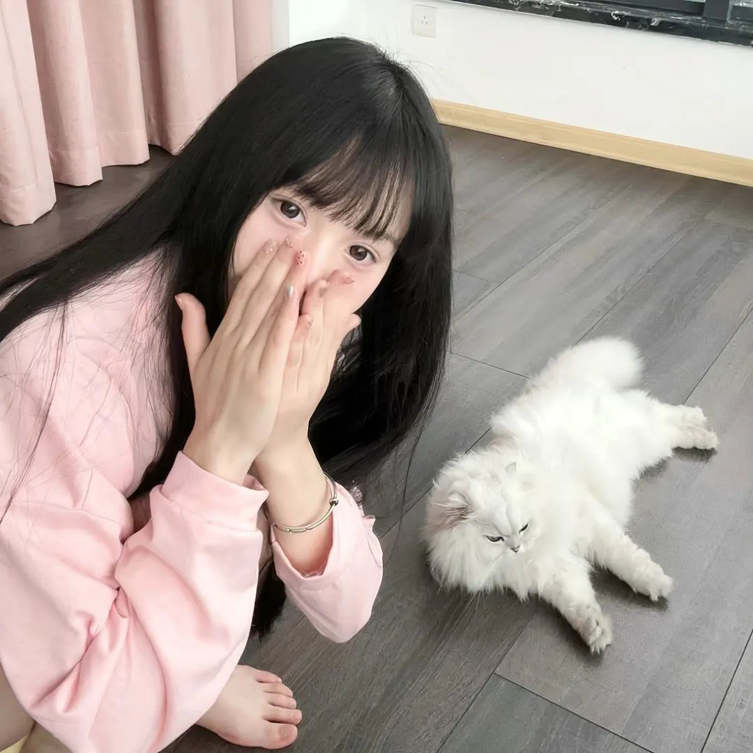 猫贼