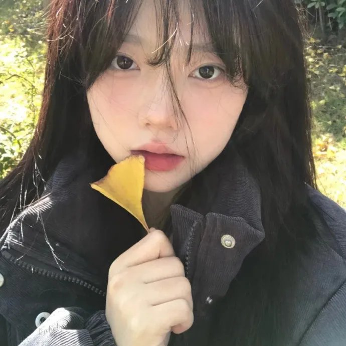复仇者